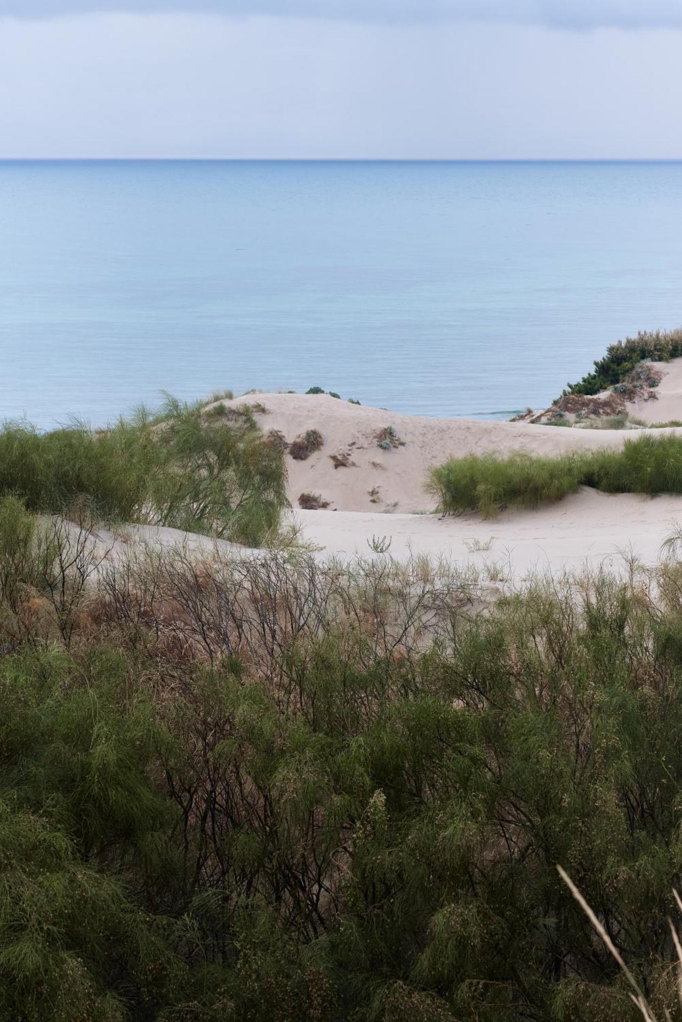 מלון Taiga Tarifa Punta Paloma מראה חיצוני תמונה