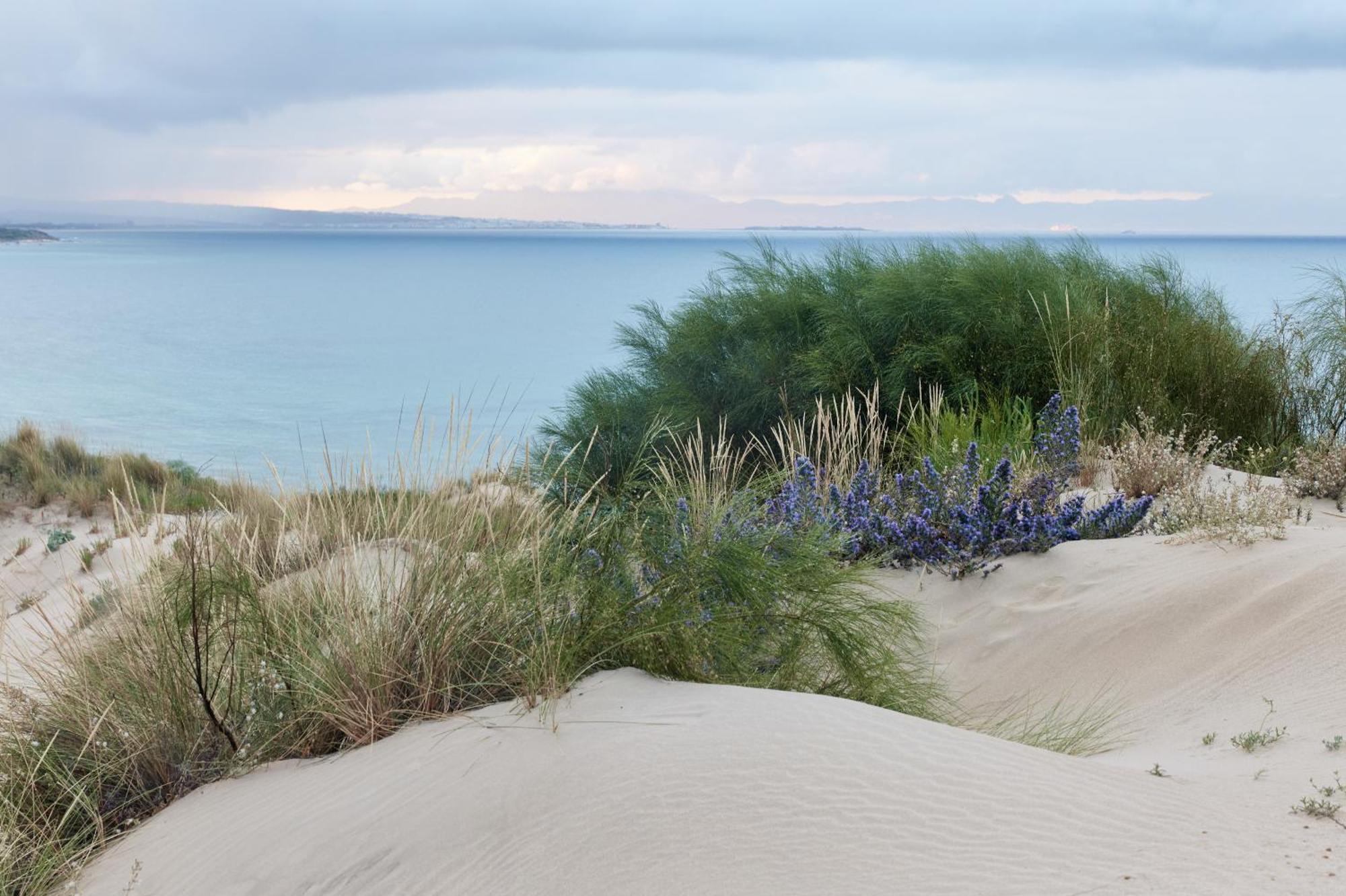 מלון Taiga Tarifa Punta Paloma מראה חיצוני תמונה